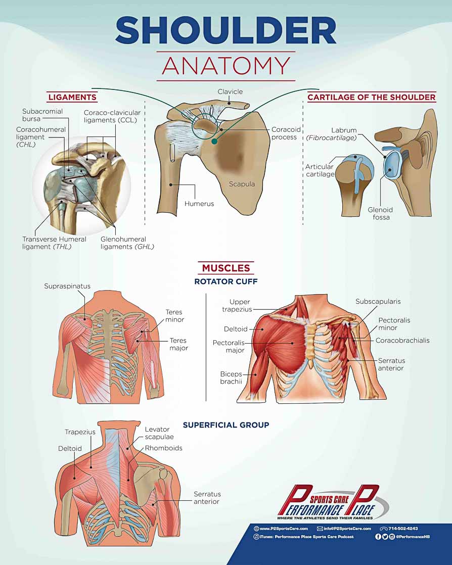 Shoulder Pain Causes & Treatment