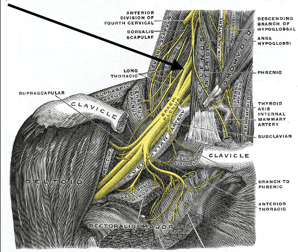 19 Effective Treatments for the Ulnar Nerve so you can Sleep Longer