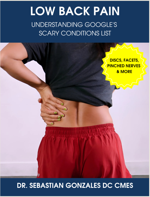 Lower Back Pain Diagnosis ebook